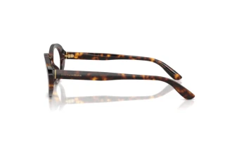 Side view Dolce & Gabbana DG3450 (502)