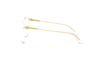 Side view Dolce & Gabbana DG3451 (3133)