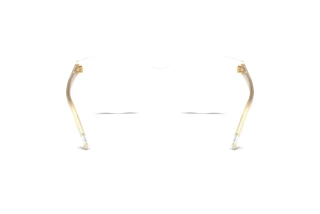 Rear view Dolce & Gabbana DG3451 (3133)