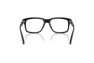 Rear view Dolce & Gabbana DG3453 (501)