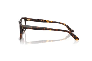 Side view Dolce & Gabbana DG3453 (502)