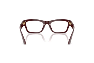 Rear view Dolce & Gabbana DG3454 (3091)