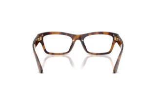 Rear view Dolce & Gabbana DG3454 (3497)