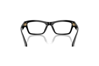 Rear view Dolce & Gabbana DG3454 (501)