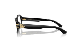 Side view Dolce & Gabbana DG3455 (501)