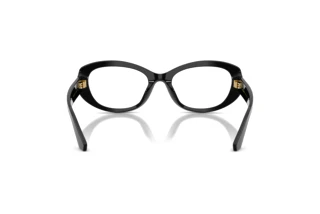 Rear view Dolce & Gabbana DG3455 (501)