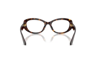 Rear view Dolce & Gabbana DG3455 (502)