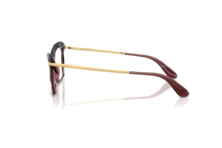 Side view Dolce & Gabbana DG5025 (3045)