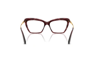 Rear view Dolce & Gabbana DG5025 (3045)