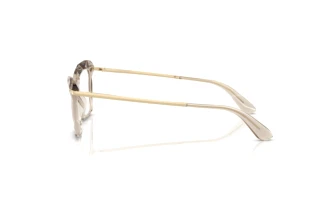 Side view Dolce & Gabbana DG5025 (3432)