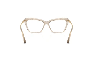 Rear view Dolce & Gabbana DG5025 (3432)