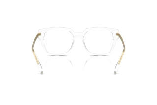 Rear view Dolce & Gabbana DG5087 (3133)