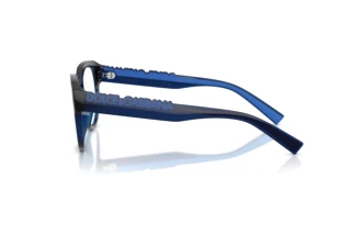 Side view Dolce & Gabbana DG5113 (3009)