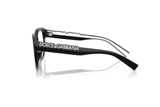 Side view Dolce & Gabbana DG5113 (501)