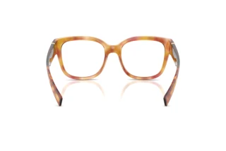 Rear view Dolce & Gabbana DG5115 (3477)