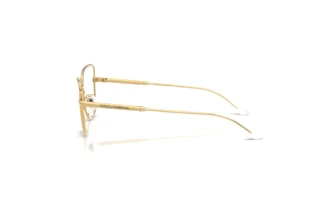 Side view Dolce & Gabbana DX1102 (02)