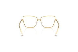 Rear view Dolce & Gabbana DX1102 (02)