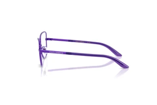Side view Dolce & Gabbana DX1102 (1368)