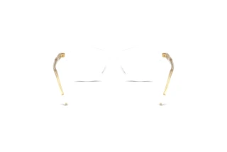 Rear view Dolce & Gabbana DX3002 (3133)