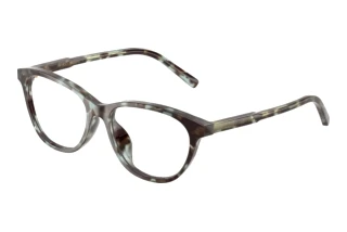 Front view Dolce & Gabbana DX3002 (3443)
