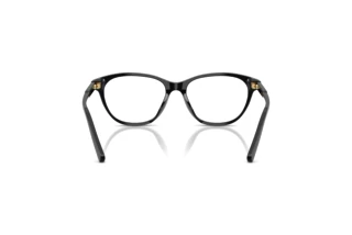 Rear view Dolce & Gabbana DX3002 (501)