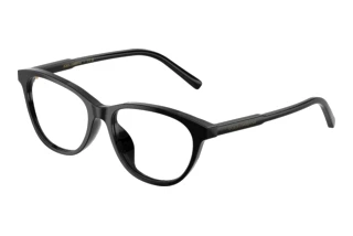 Front view Dolce & Gabbana DX3002 (501)