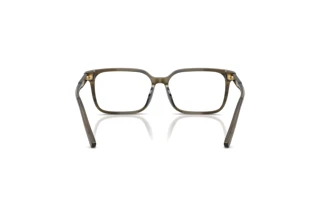 Rear view Dolce & Gabbana DX3003 (3480)