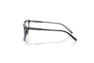 Side view Dolce & Gabbana DX3003 (3482)