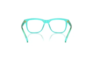 Rear view Dolce & Gabbana DX3356 (3322)