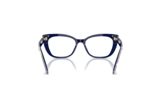 Rear view Dolce & Gabbana DX3357 (3435)