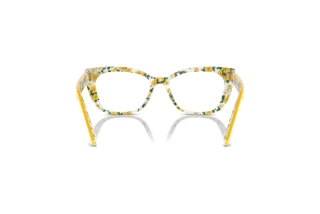 Rear view Dolce & Gabbana DX3357 (3443)