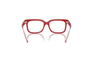 Rear view Dolce & Gabbana DX5002 (3088)