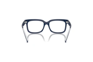 Rear view Dolce & Gabbana DX5002 (3094)