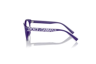 Side view Dolce & Gabbana DX5003 (3335)