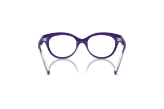 Rear view Dolce & Gabbana DX5003 (3335)