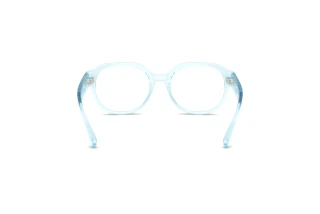 Rear view Dolce & Gabbana DX5004U (3346)