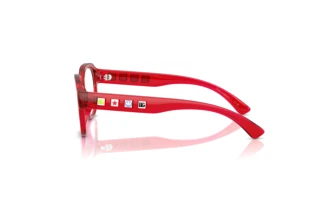 Side view Dolce & Gabbana DX5004U (3409)