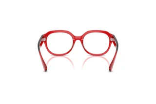 Rear view Dolce & Gabbana DX5004U (3409)