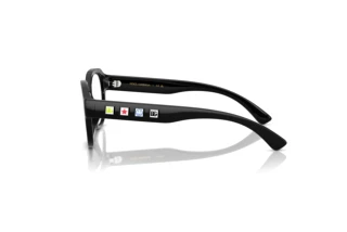 Side view Dolce & Gabbana DX5004U (501)