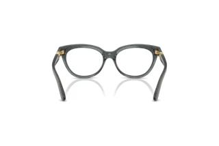 Rear view Dolce & Gabbana DX5005U (3241)