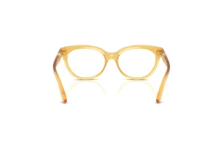 Rear view Dolce & Gabbana DX5005U (3455)