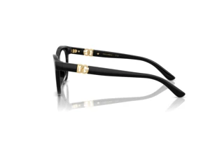 Side view Dolce & Gabbana DX5005U (501)