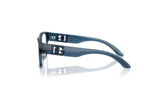 Side view Dolce & Gabbana DX5006 (3009)