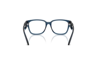 Rear view Dolce & Gabbana DX5006 (3009)
