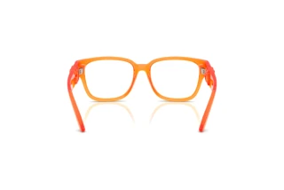 Rear view Dolce & Gabbana DX5006 (3388)