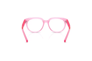 Rear view Dolce & Gabbana DX5007 (3148)