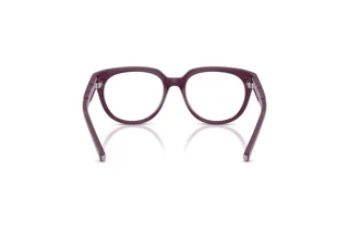 Rear view Dolce & Gabbana DX5007 (3360)