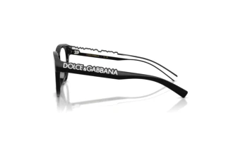 Side view Dolce & Gabbana DX5007 (501)
