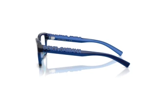 Side view Dolce & Gabbana DX5008 (3009)