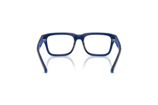 Rear view Dolce & Gabbana DX5008 (3009)